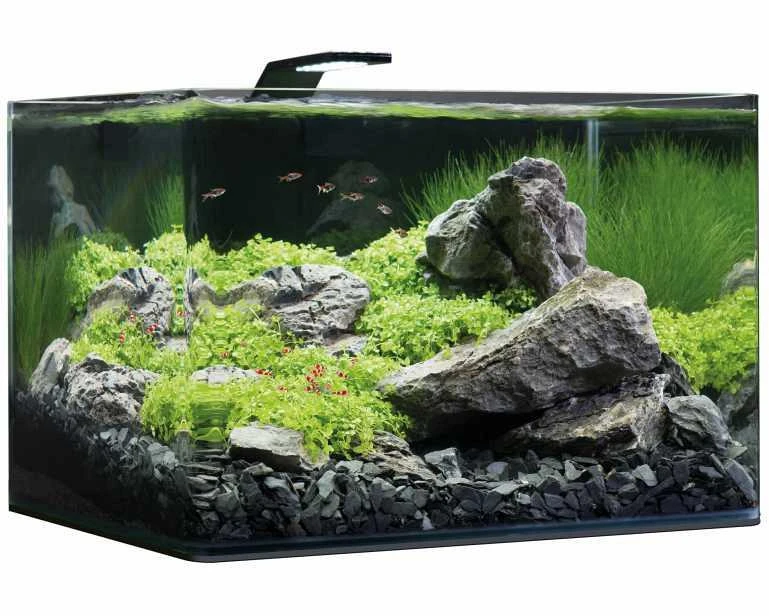 Dennerle Nano Scapers Tank Basic LED 55 Ltr