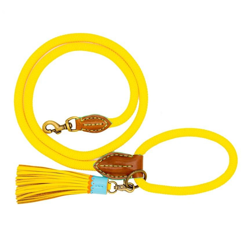 Dog With A Mission Hondenlijn Sunny - Image 2