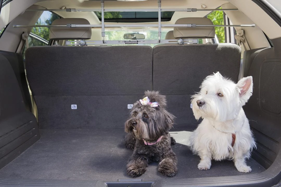 PetEgo K9 Keeper Autorek Zilver - Image 3