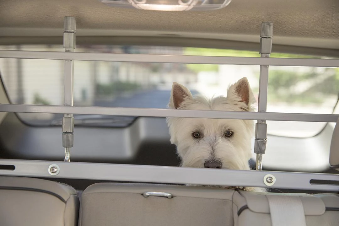 PetEgo K9 Keeper Autorek Zilver - Image 4