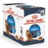 Royal Canin Kattenvoer Ultra Light In Gravy 12 X 85 Gr