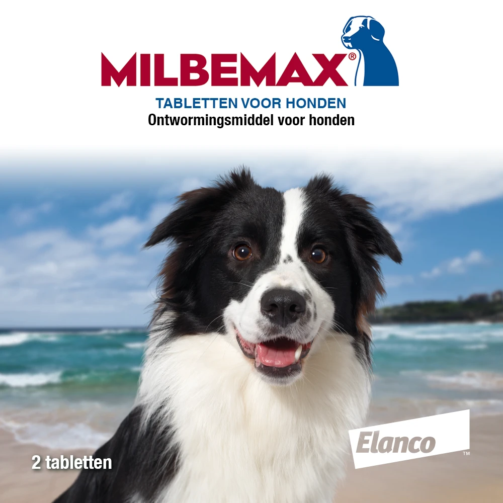 Milbemax Tabletten Hond 10 - 50 Kg 2 St - Image 2