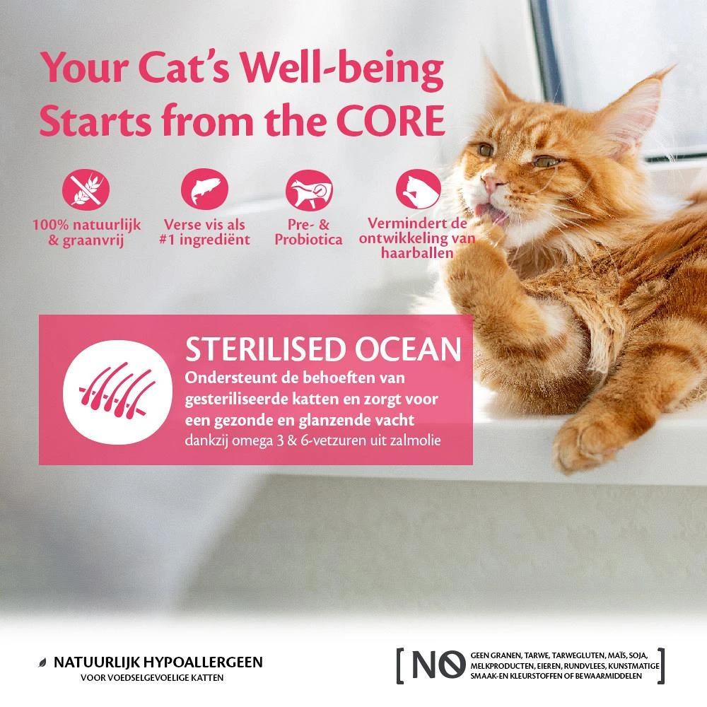 Wellness CORE Kattenvoer Sterilised Zalm 1,75 Kg - Image 2