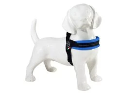 Tre Ponti Hondentuig Mesh Fibbia Reflective Verstelbaar Sky Blauw