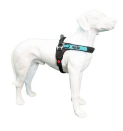 Tre Ponti Hondentuig Forza Blauw