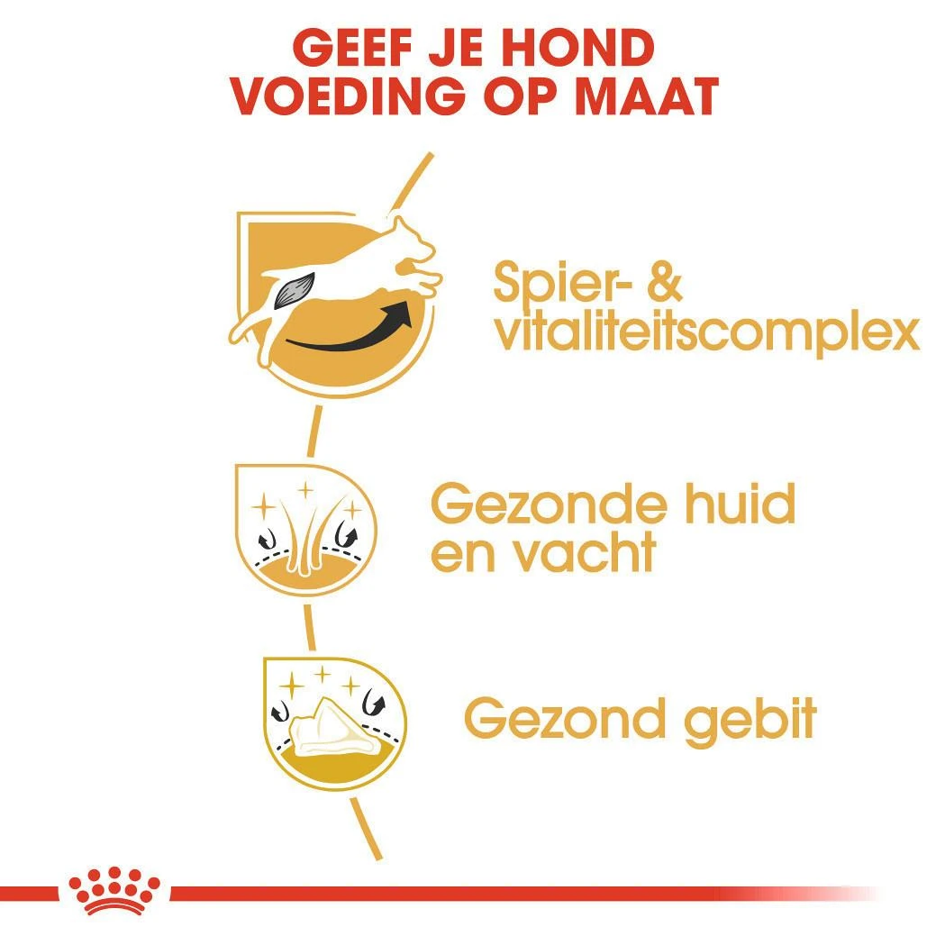 Royal Canin Hondenvoer Jack Russell Adult 7,5 Kg - Image 3